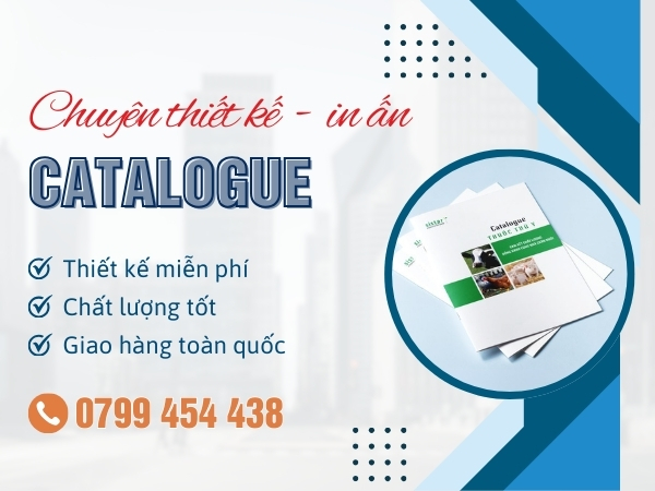 Dịch vụ in catalogue tại Núi Thành Đà Nẵng trọn gói