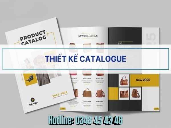 Thiết kế catalogue chuyên nghiệp tại Đà Nẵng