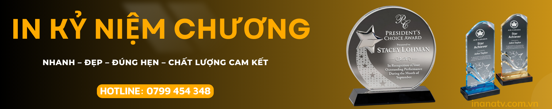 In kỷ niệm chương